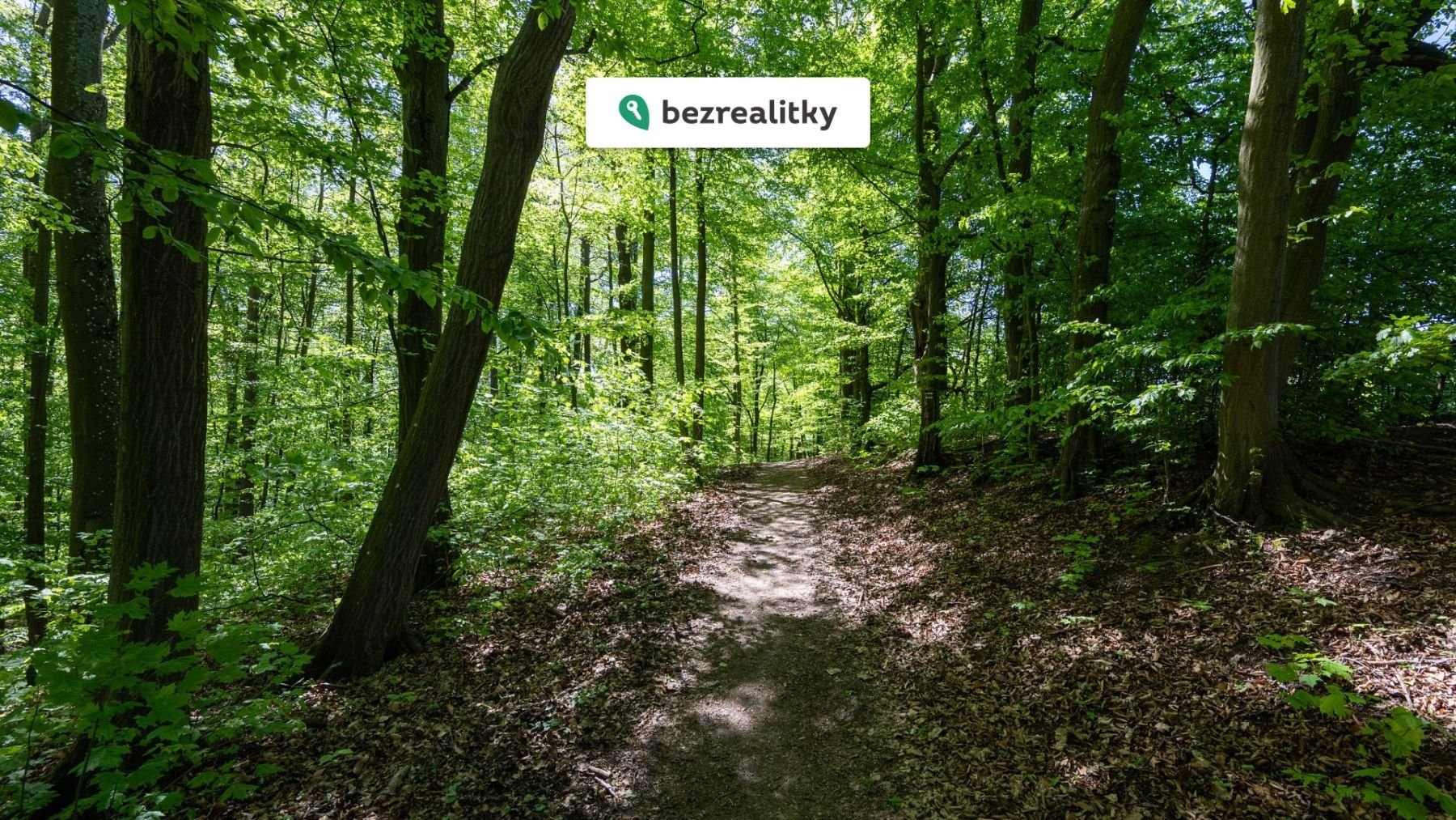 1774938041-ucpdqmanfz-z71-8393