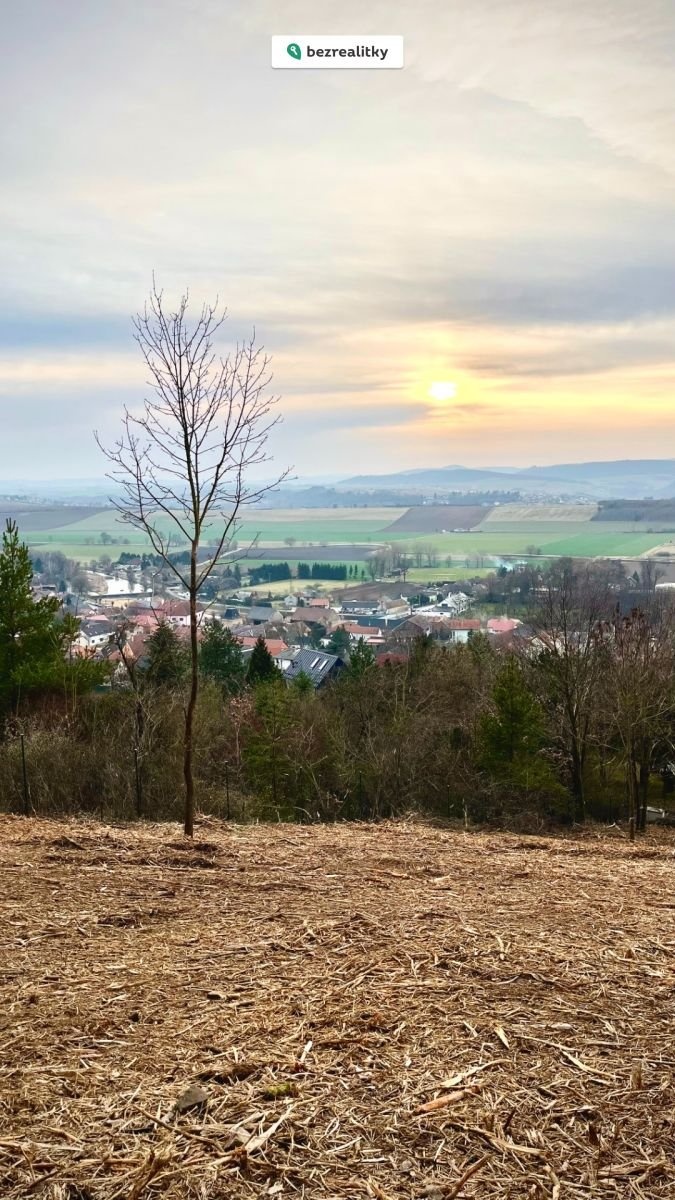 1775731205-dspuwbqfcz-zapad