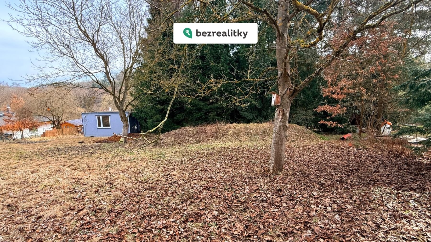 1772969588-rymbvpnbmn-img-8434