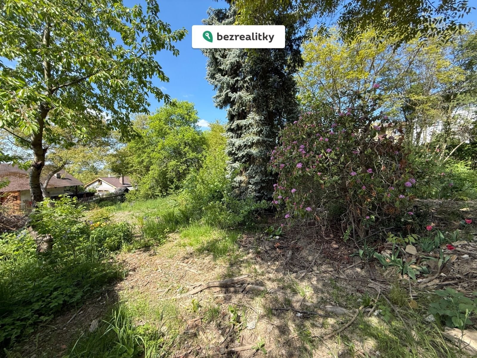 1761643620-pjbxbiqcof-img-3649