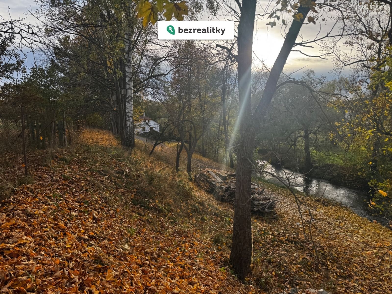 1771243679-tpqnsjomsm-img-8467