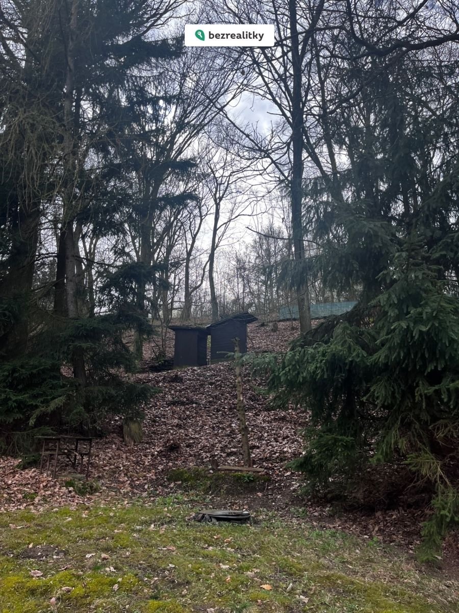 1772558609-sgzdvbwkgq-img-5627