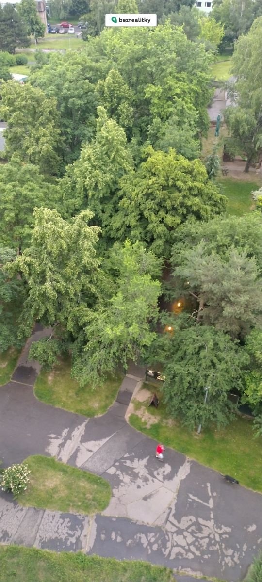 1772401825-fpcjnoudsn-img-20250615-194420