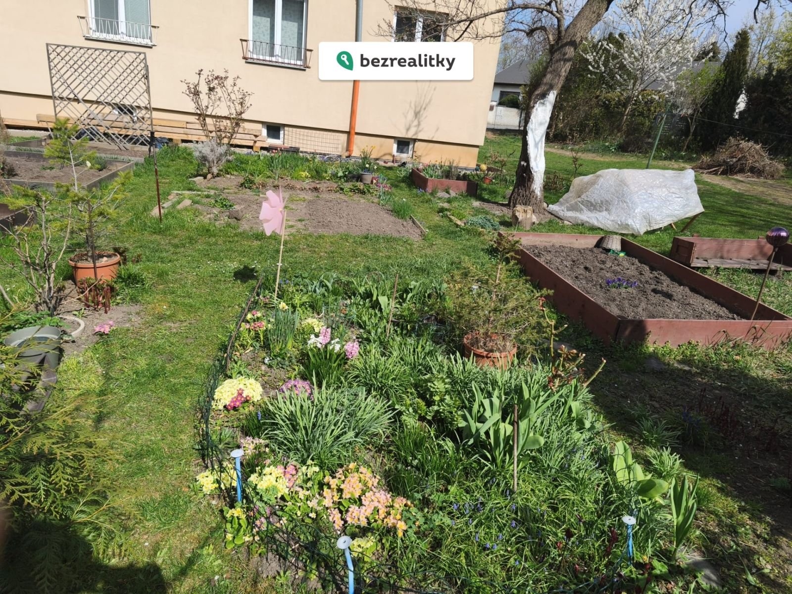 1775941493-wyplkhpnki-img-20260411-wa0002