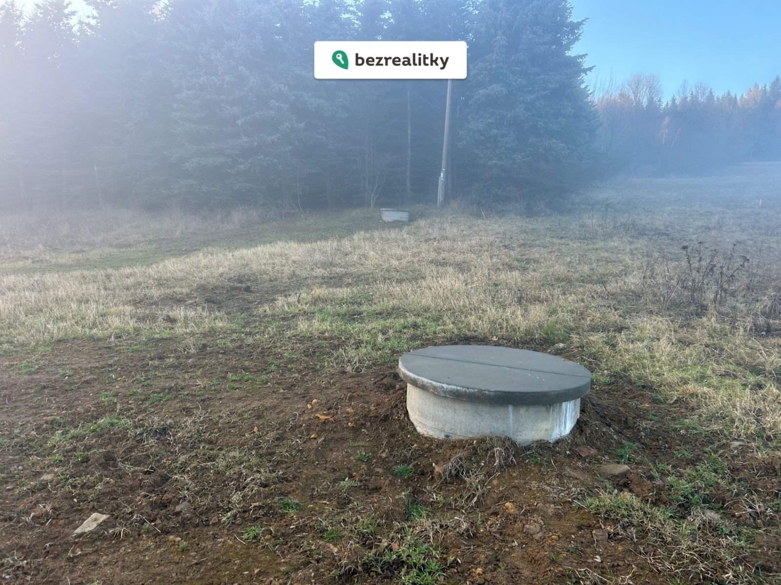 1767019225-lzbjepfjoi-img-2643