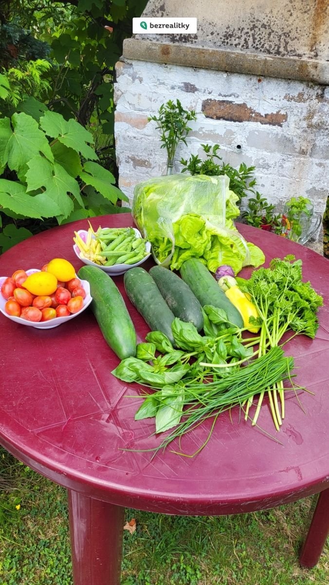 1773098961-syngyrnwae-13-uroda