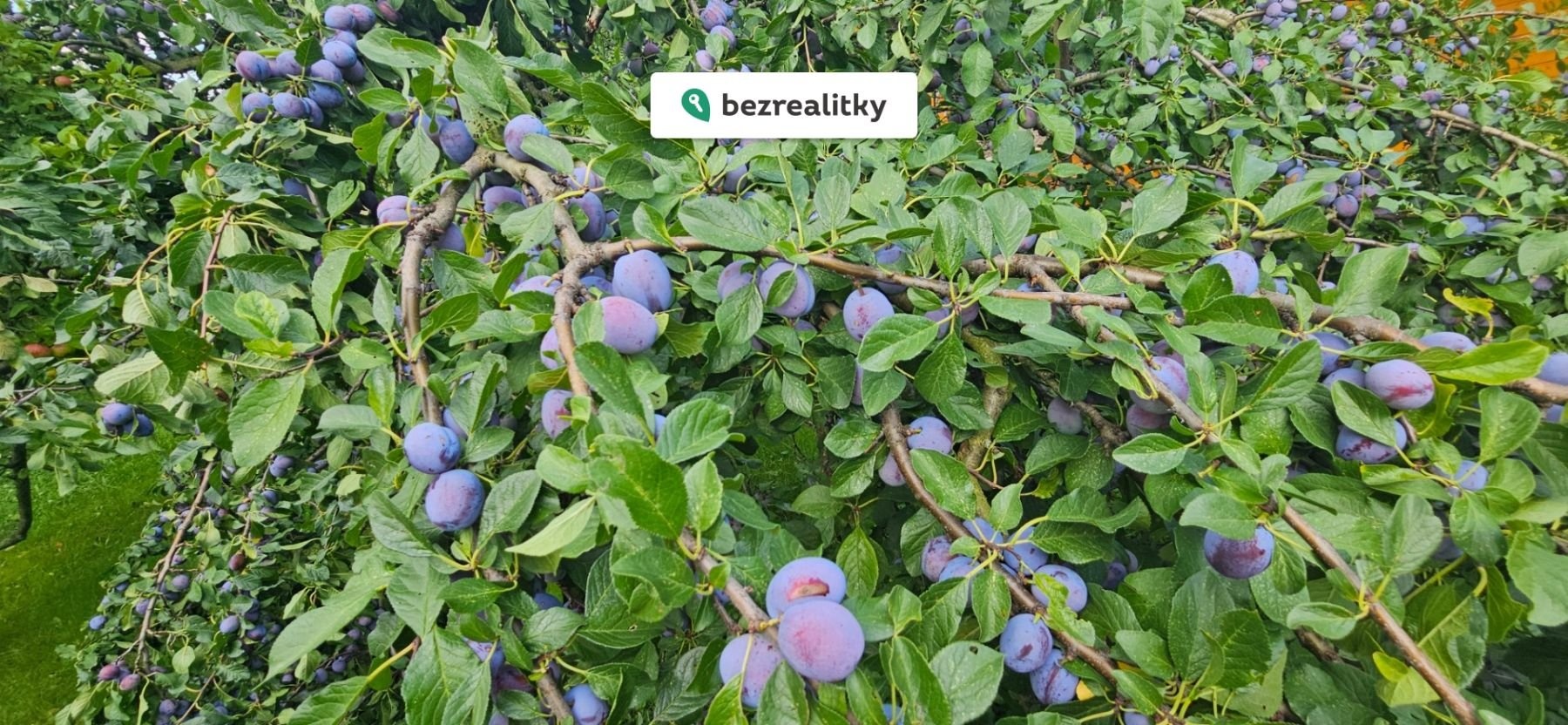 1772467526-sxepvmcrnx-20250720-154445