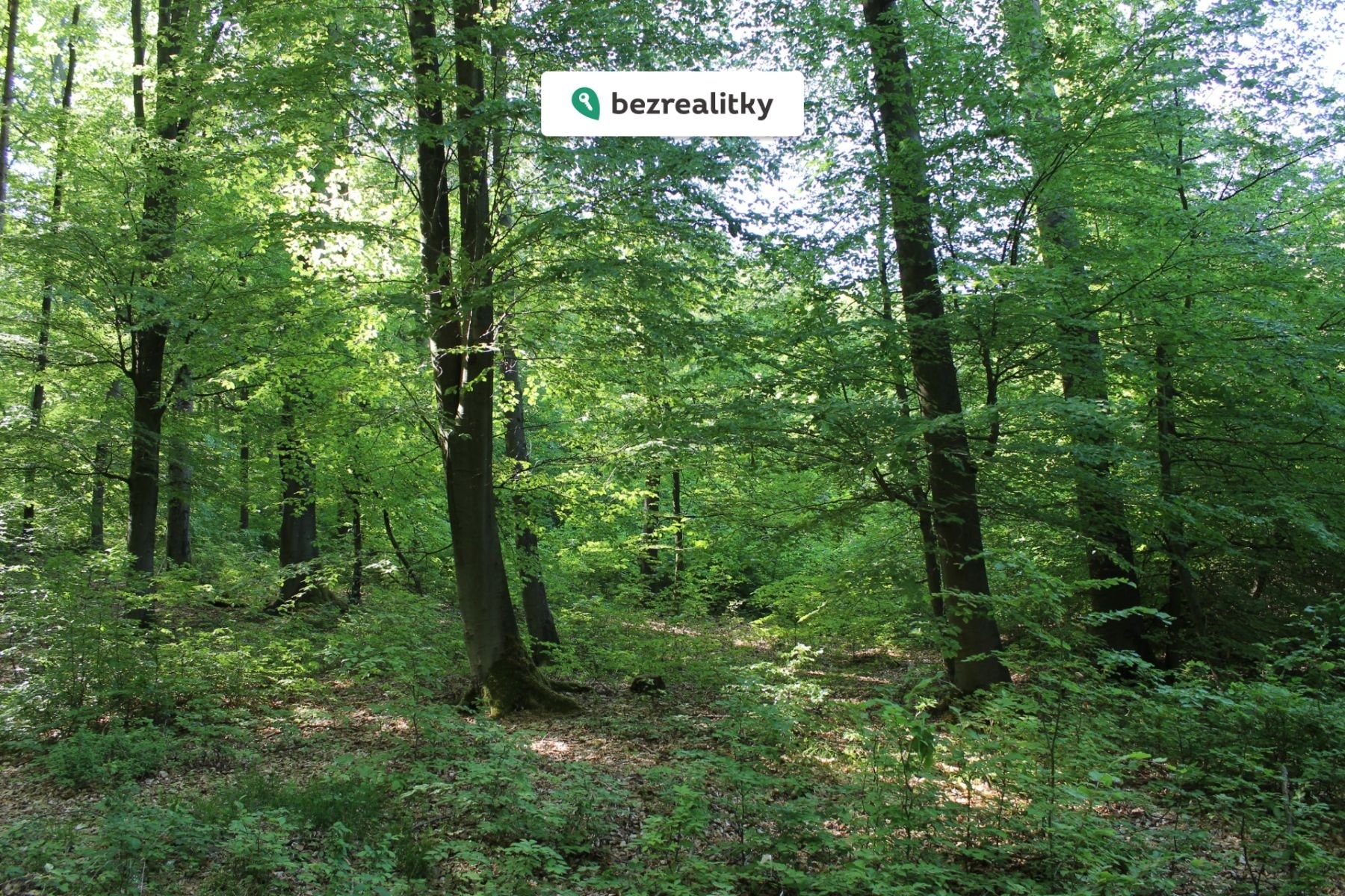 1764545295-jeiwxgxagv-img-6479