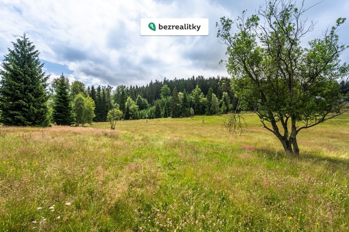 1772392208-qkcufpbvsm-louka