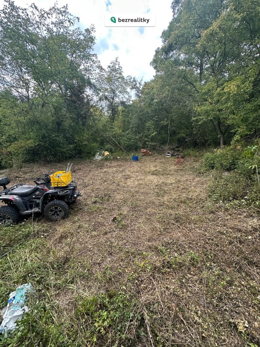 1763065469-fvxghxrfib-img-4086