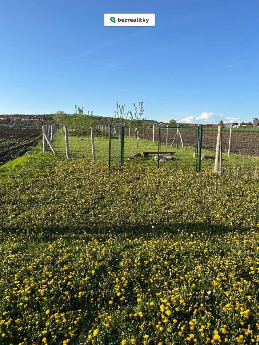 1763367493-acqjvowljj-img-3999