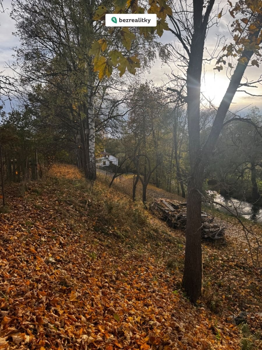 1771243671-lsxxevhjea-img-8466