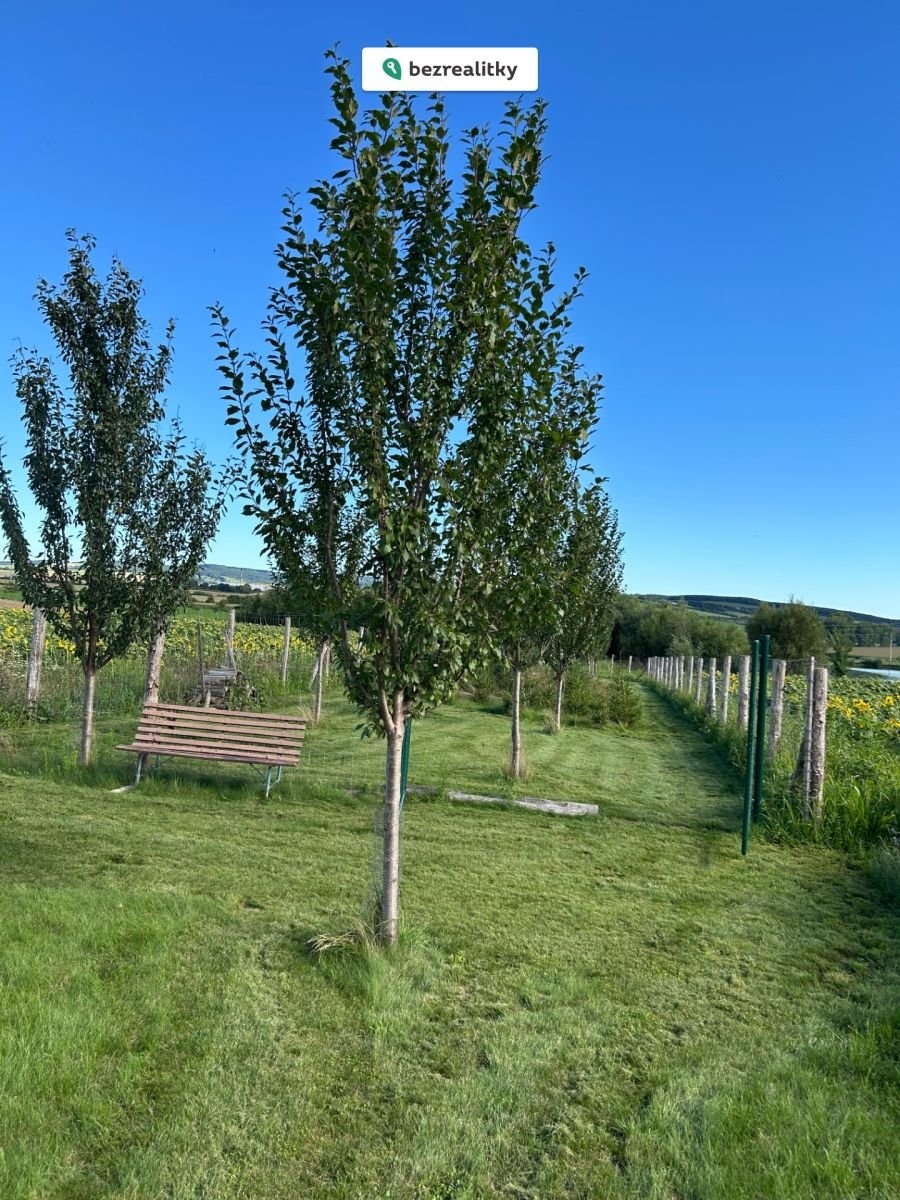 1763367551-ggsjipntck-img-6904