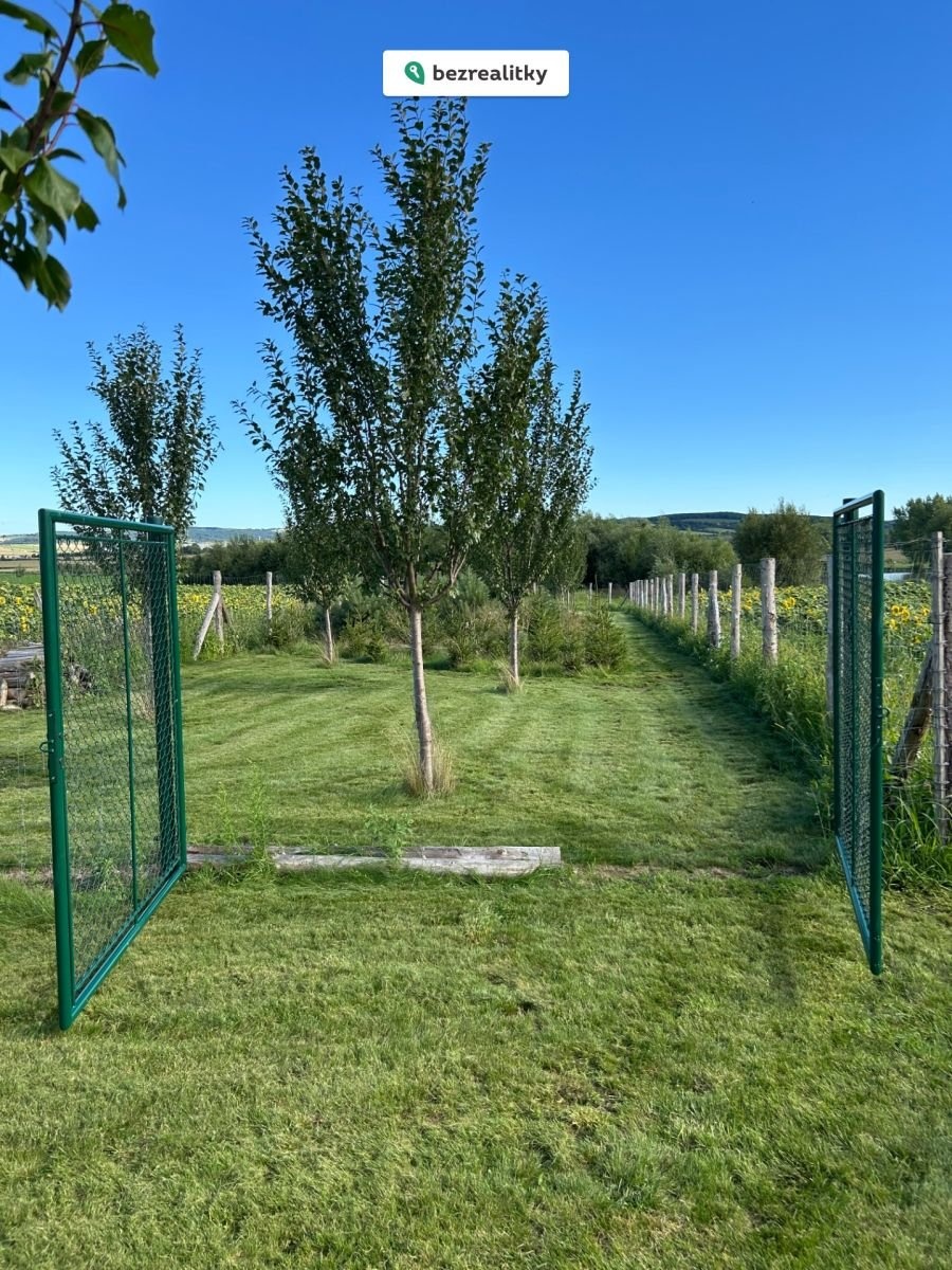 1763367551-mazpdqoepl-img-6903