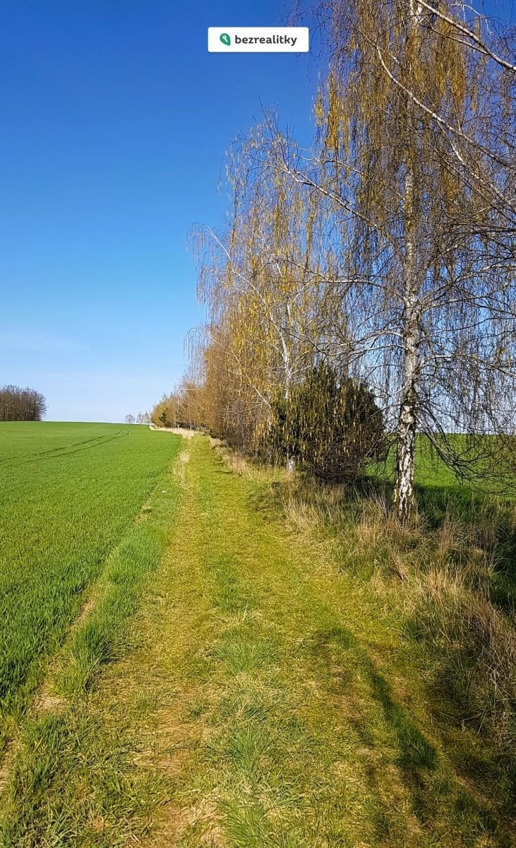 1771767155-dxunbfathn-cesta-k-lesu