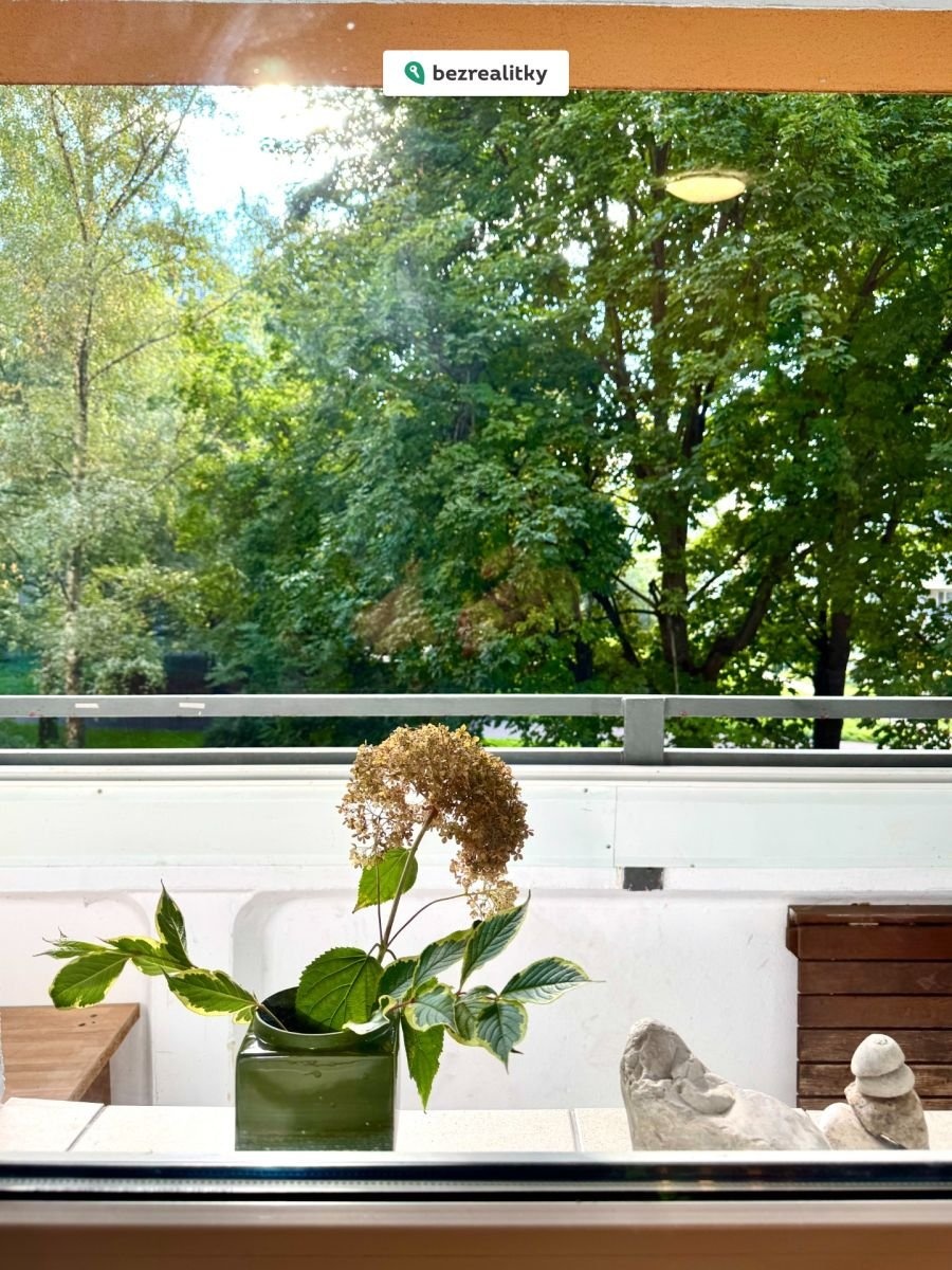 1761774724-mqvasjvjlt-img-8919