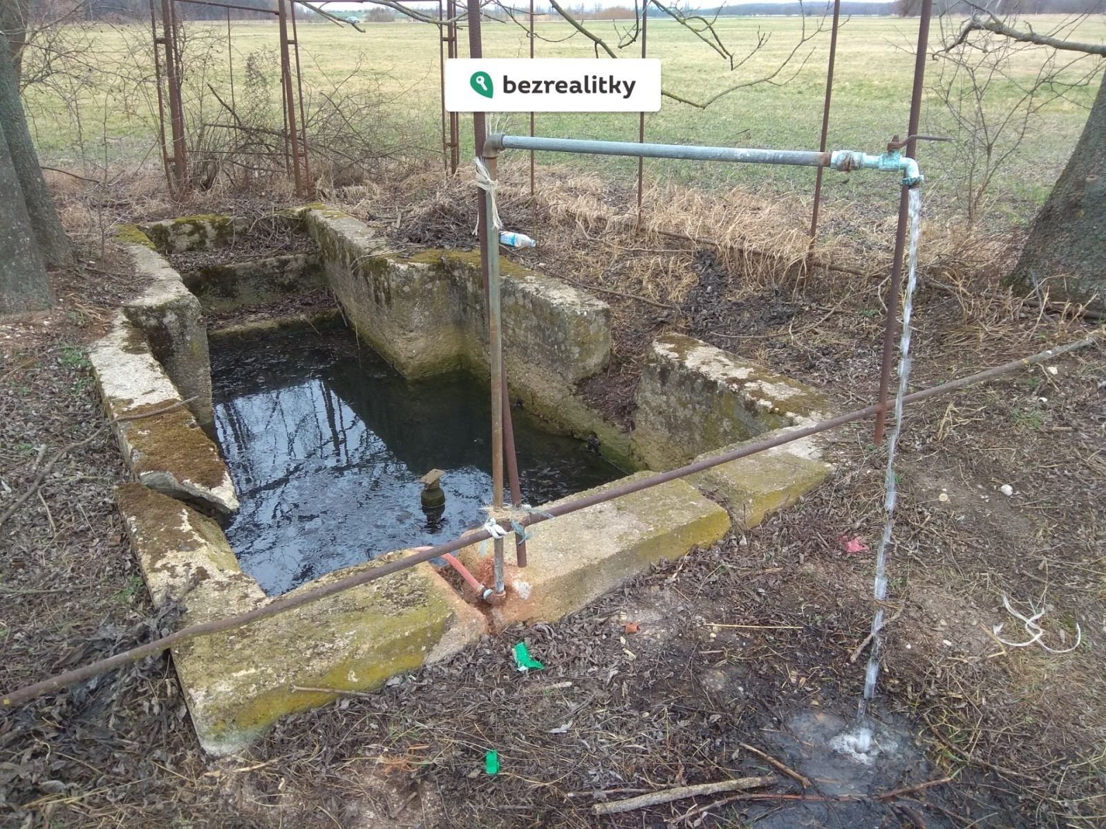 1772646602-leiuspaqqx-img-20200222-153317