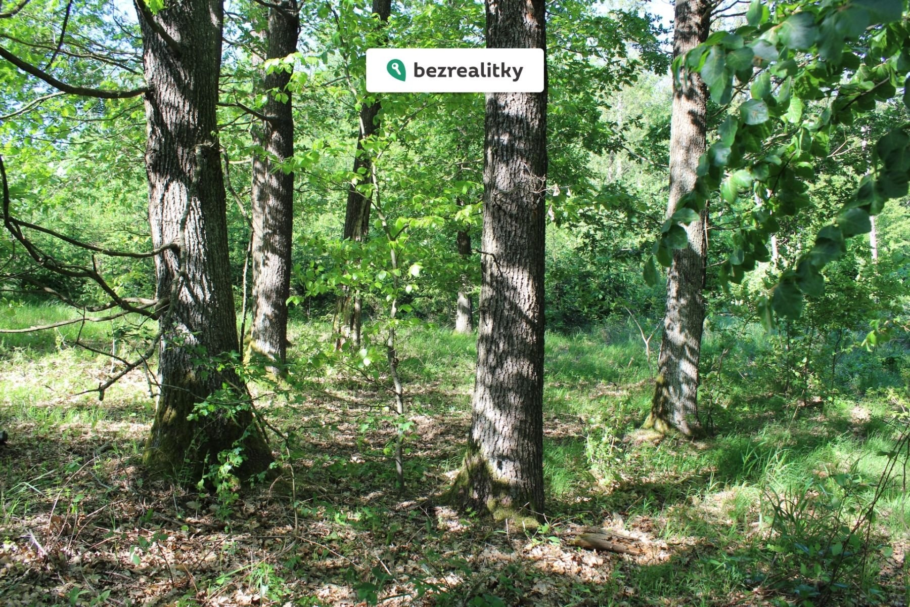 1764545294-fbtblnhgvc-img-6566