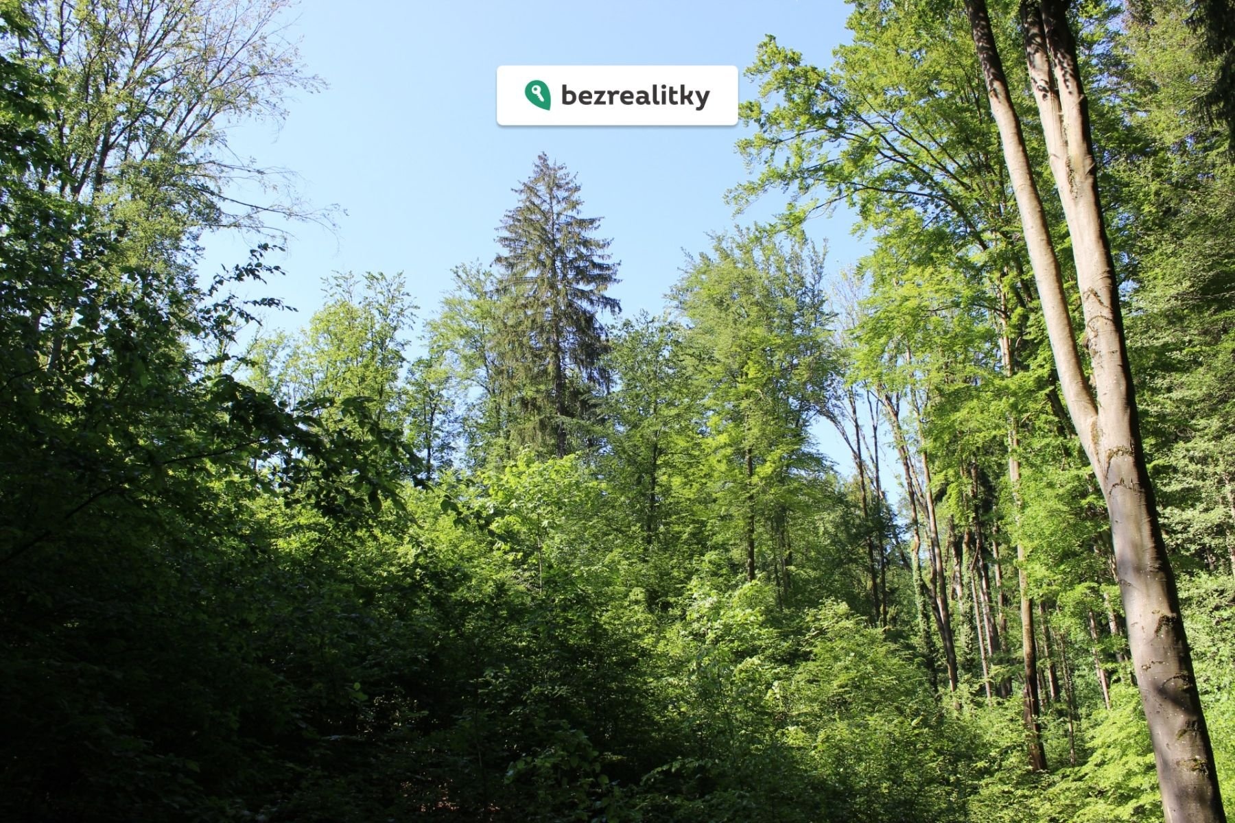 1764545293-qiafsbpliu-img-6484