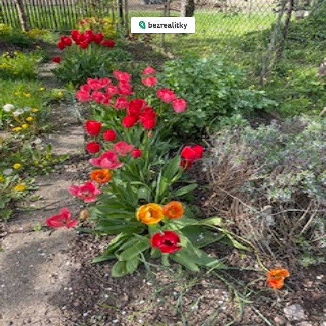 1773064148-japluyjuvs-img-1873