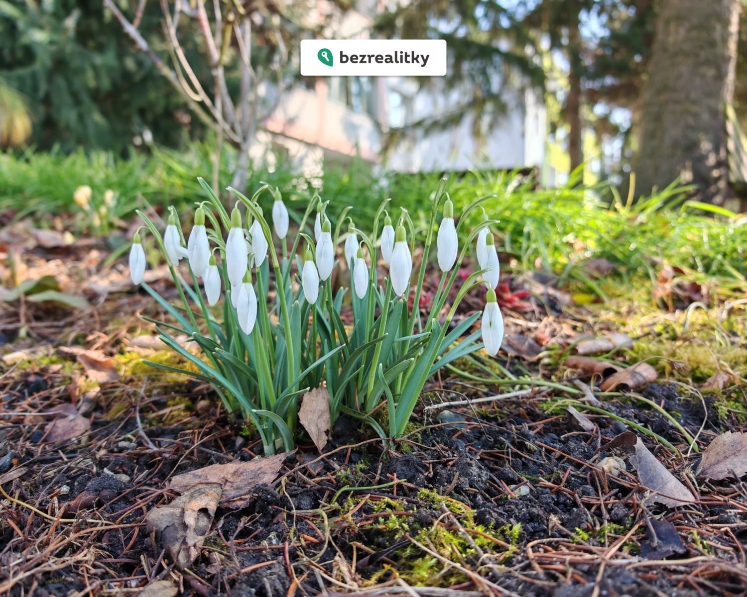 1772287488-jhkpsuazqh-1000030154