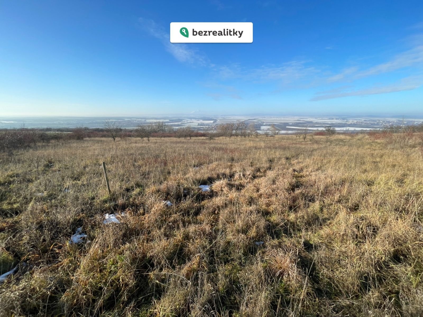 1770731507-tglzvfhjzj-img-3431