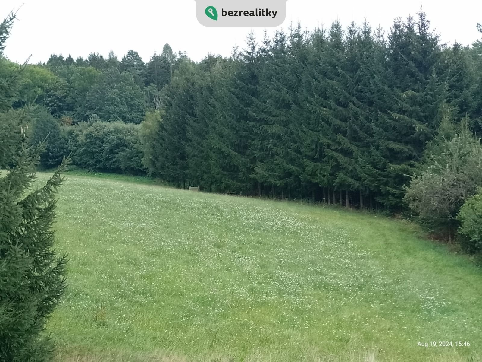 1745572880-tbovpnuyfn-img-20240819-154626-724