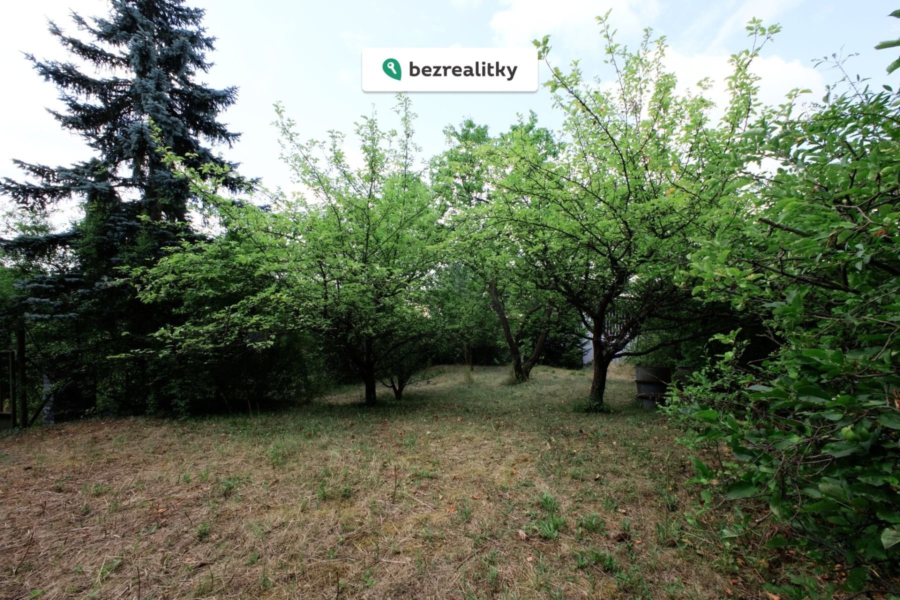 1774261642-bewzxplevx-img-9071