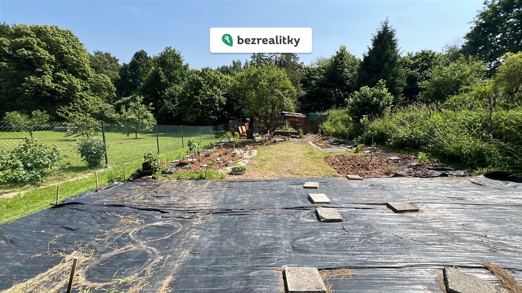 1770056227-msrhwtipwy-img-0378