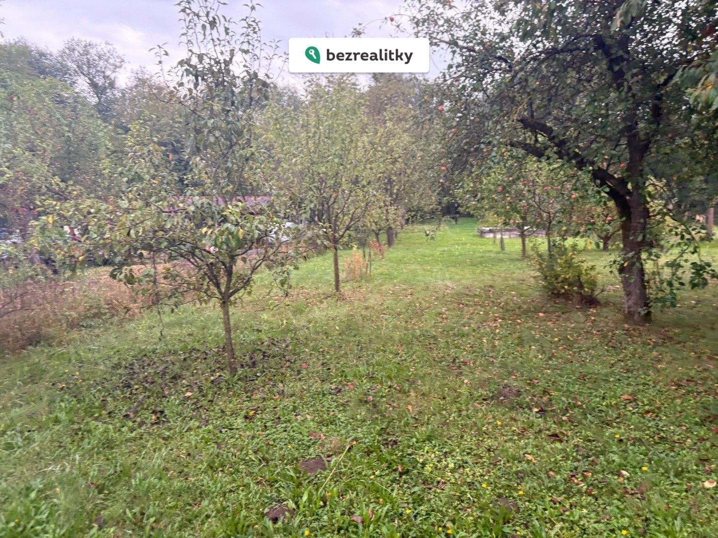 1772651855-kvelurejke-img-2248