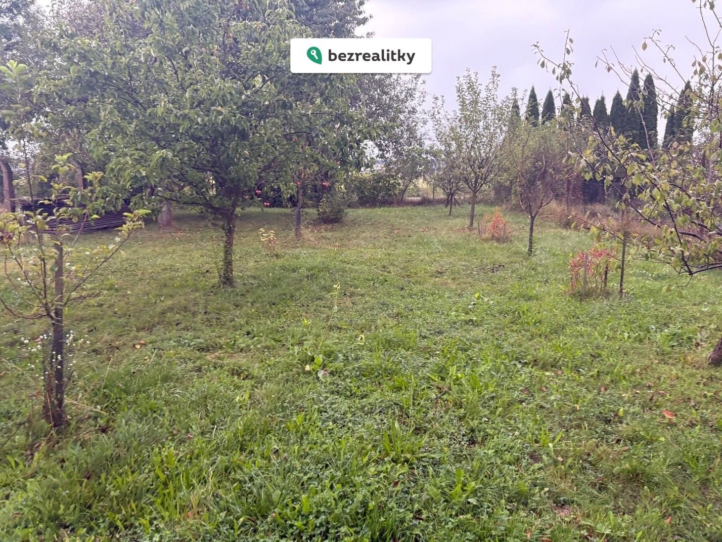 1772651865-vziaddepby-img-2232