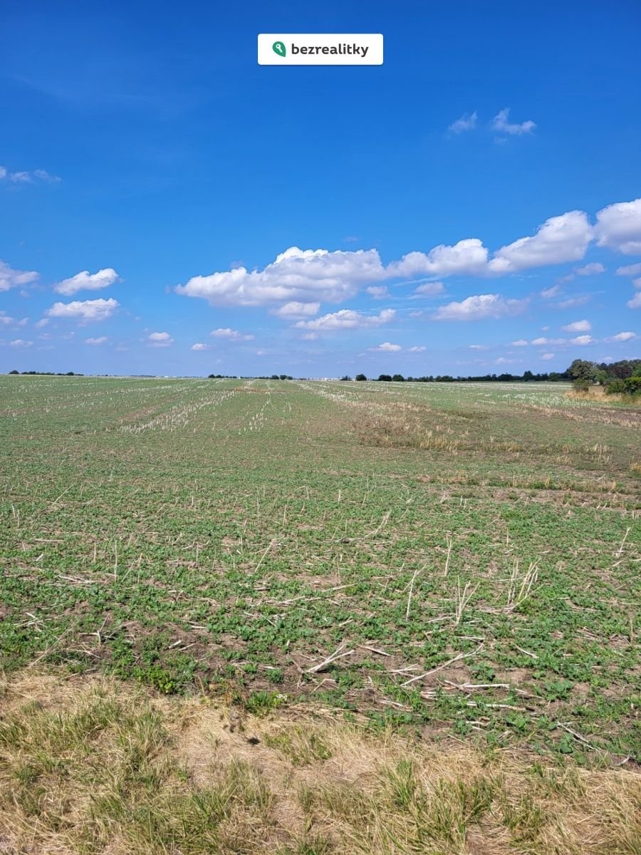 1763587464-jskdtjctux-20250901-133940