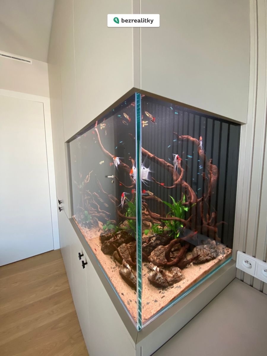 1772792790-eyivkjmgvr-12ae95c3-874a-4f9e-90b6-1262