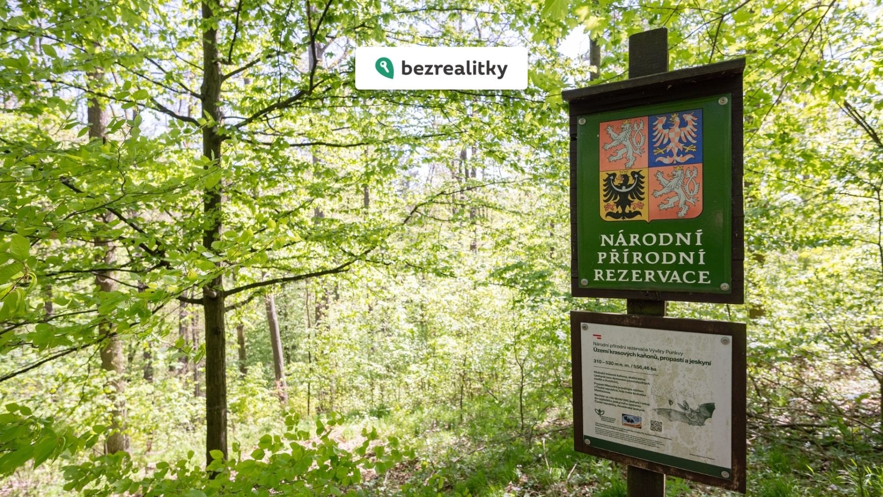 1774938040-nqtdqhsvvp-z71-8401