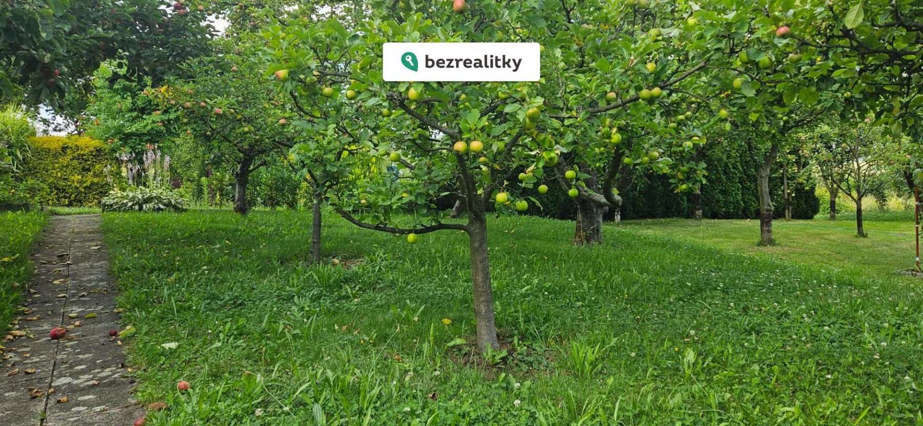 1772467527-cunobeldnd-20250720-155340