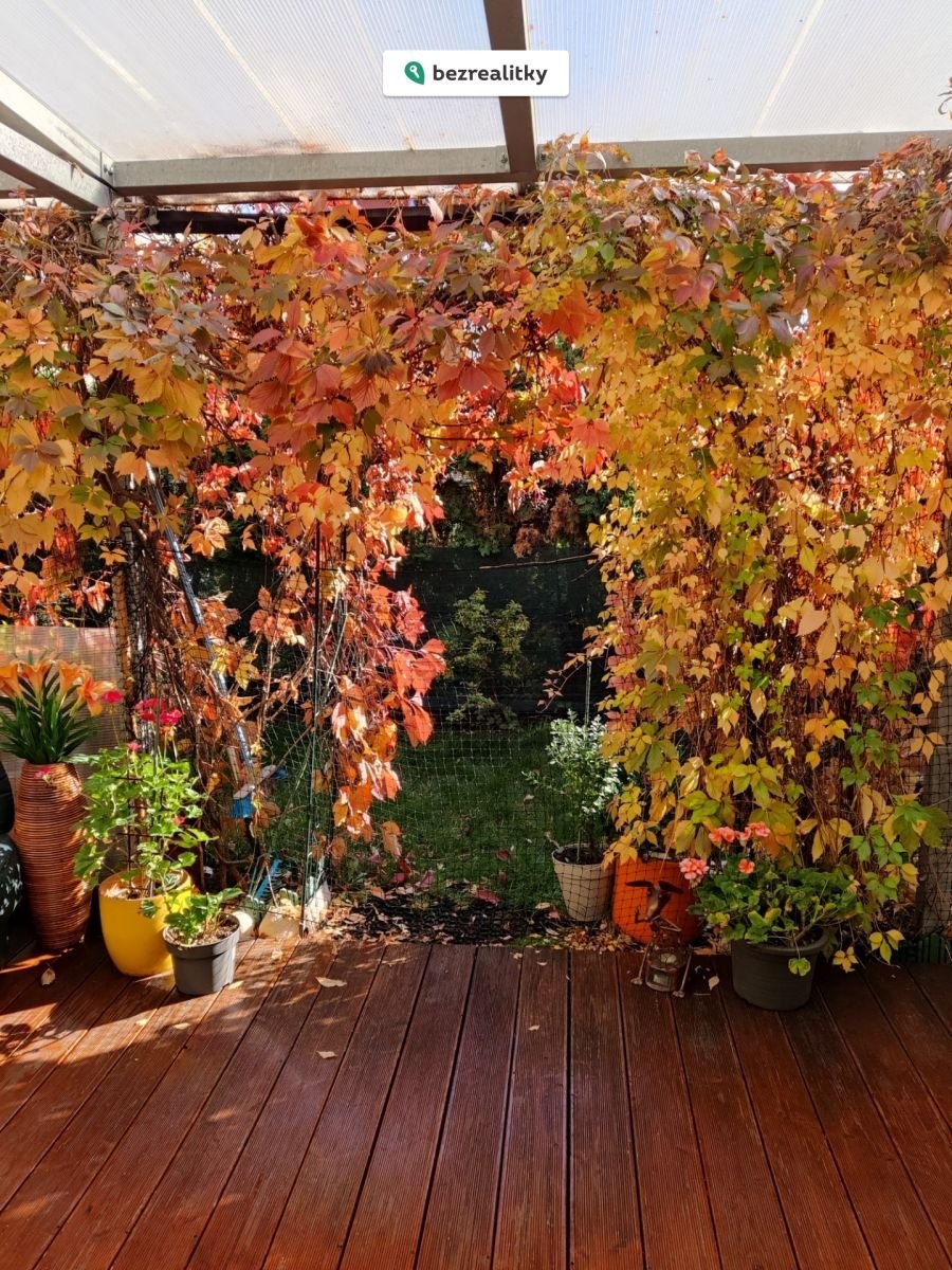 1763826616-epvlwemync-img-20241015-202025-342