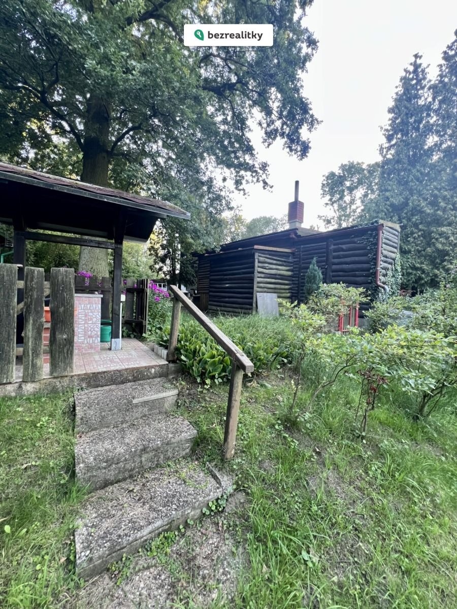 1769243192-plfayebnzz-img-3287