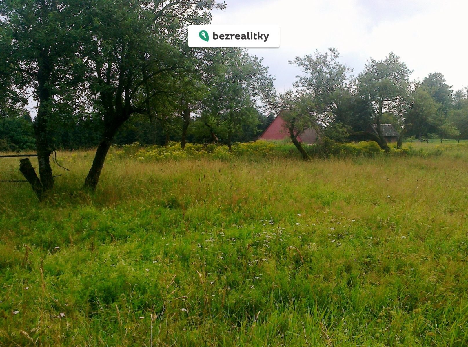 1762078320-izwlkggefa-fotografie0734