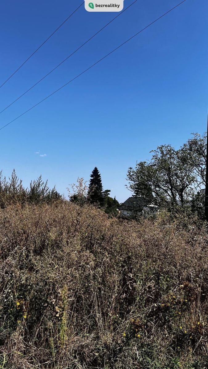 1726167027-yqcponuurx-whatsapp-image-2024-09-12-at