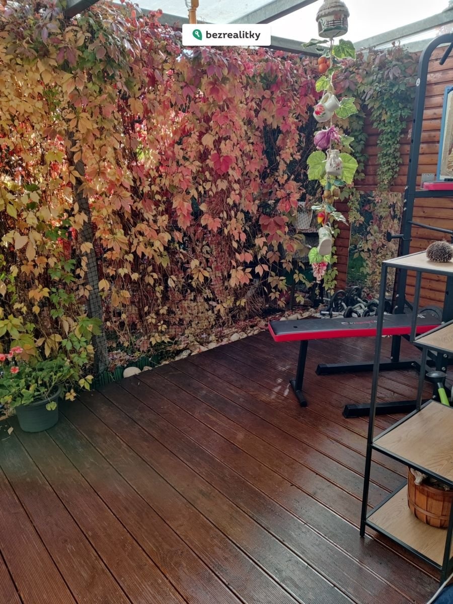 1763826617-cchfrdxtlk-img-20241015-202025-833