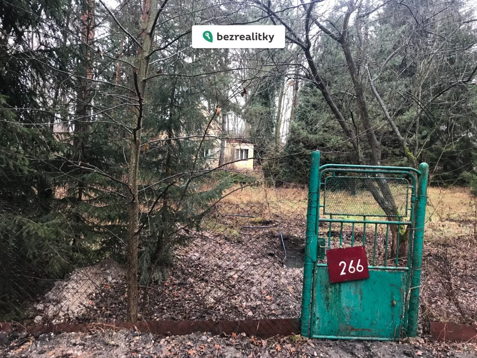 1765655561-kmvgxzcxyq-img-3653