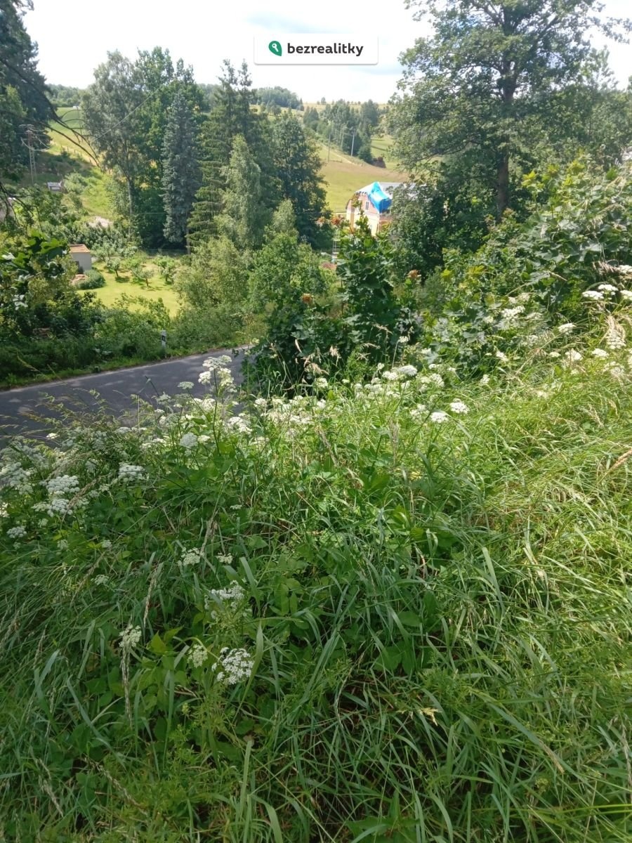 1751296187-xyswvhqreu-20250625-142617