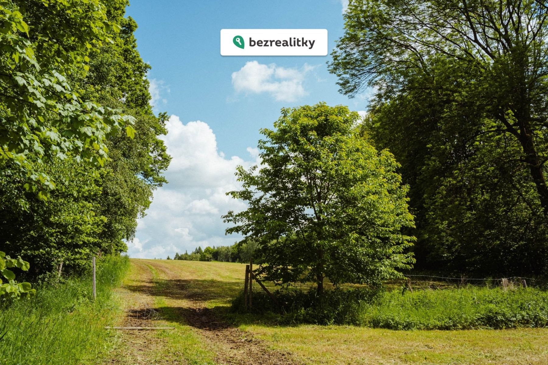 1775141192-hskgzlgdqv-l1070282