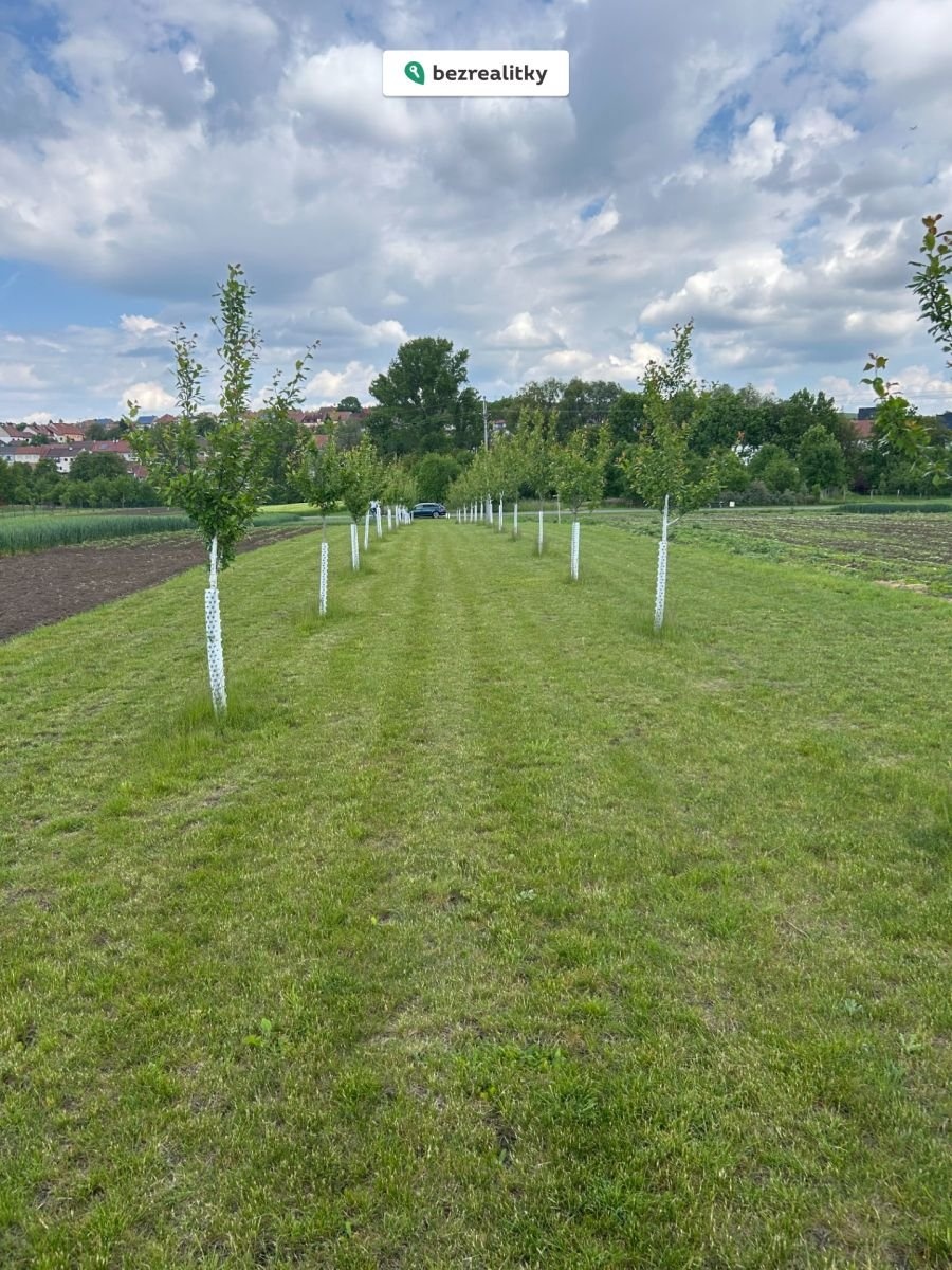 1763367521-nlgrbzytyn-img-4569