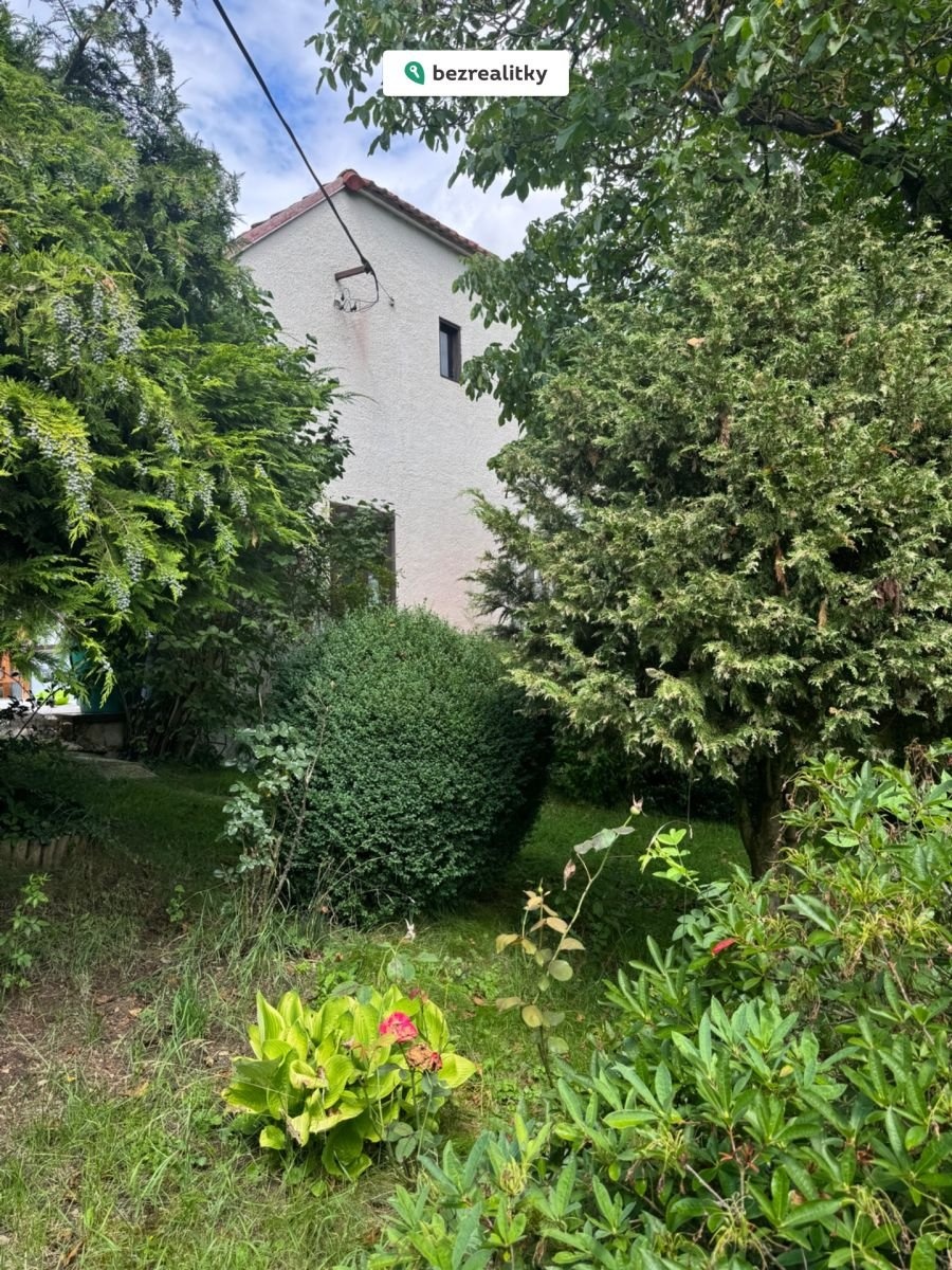 1753804680-rlyeulvsvd-img-0366