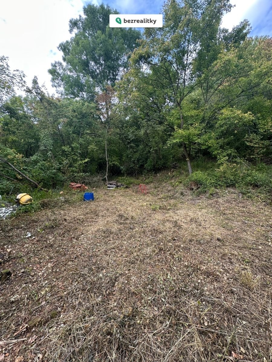 1763065469-dxtkxbpevr-img-4084