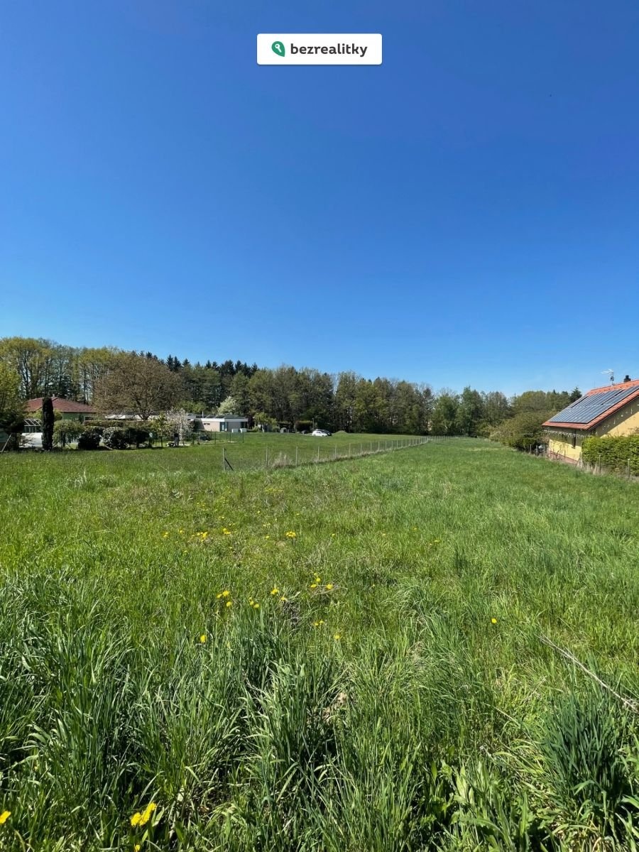 1774872271-gxgjllgipq-img-6313