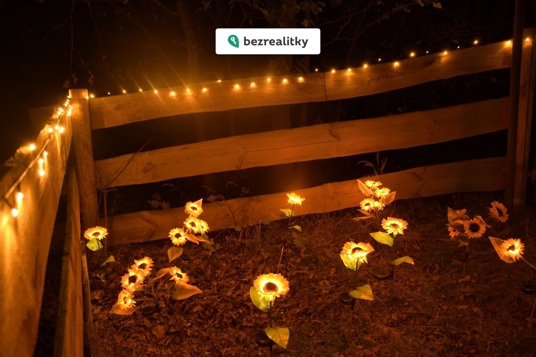 1763417383-wxipvjiwzm-dsc-5034