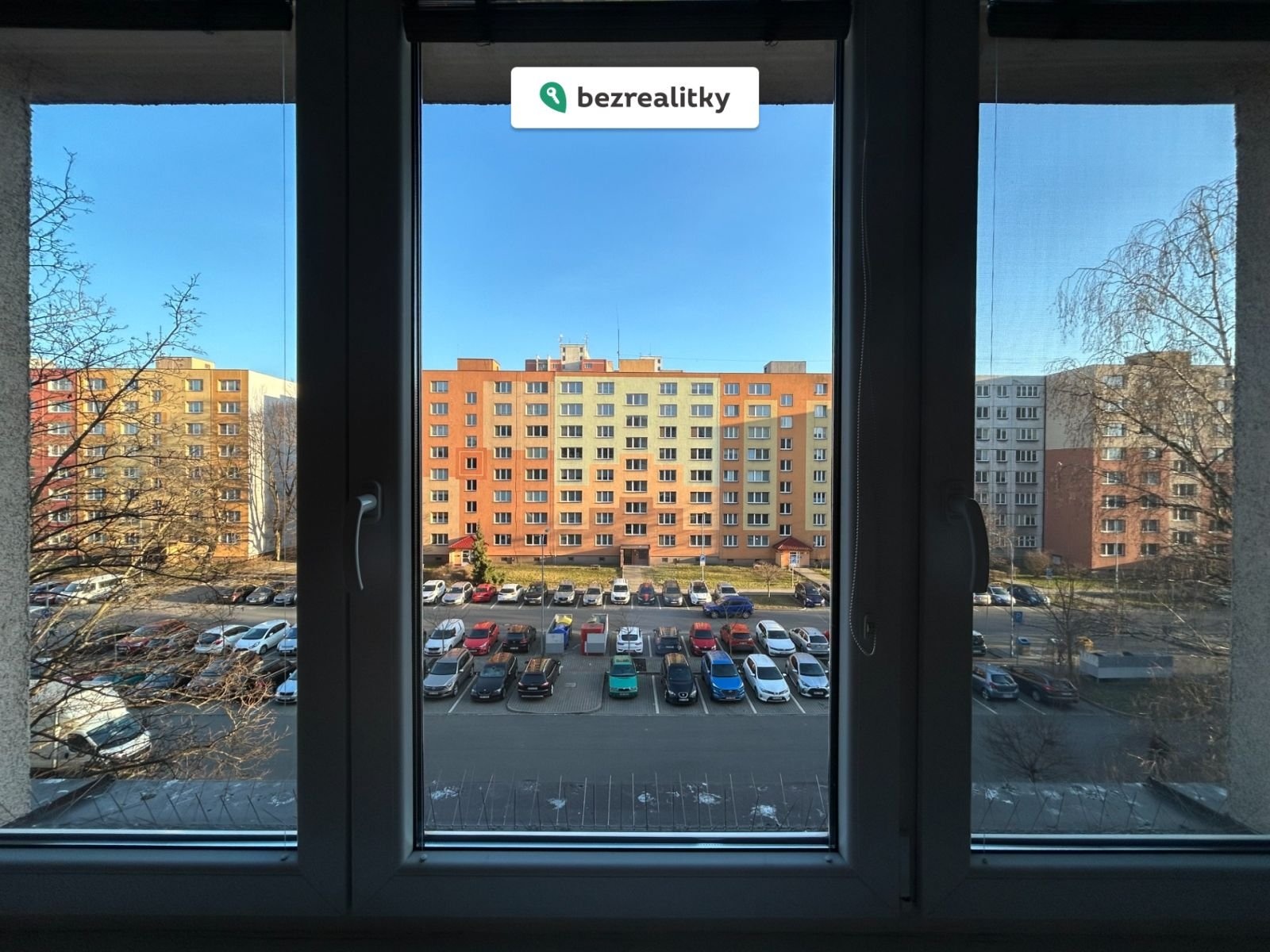 1772785490-wdahdboplw-img-4965