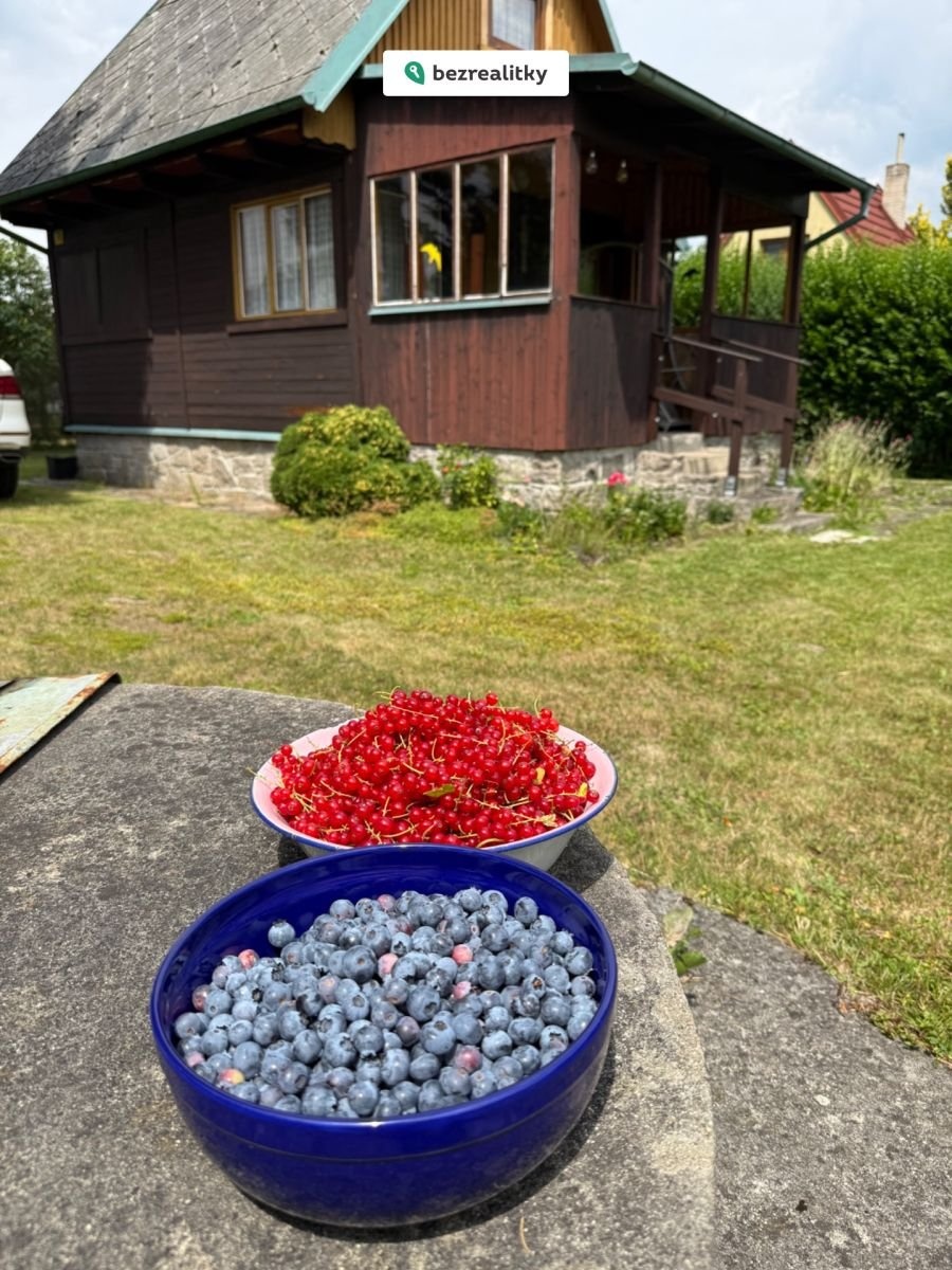 1773996595-vmtguwdmoa-img-5087